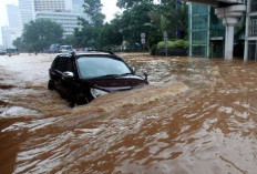 Mobil Terendam Banjir? Jangan Panik!, Ikuti Saja Panduan Lengkap Ini!
