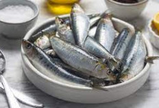 Manfaat Ikan Sarden Untuk Kesehatan Apa Saja? Yuk Intip 6 Sajian Gizi Tinggi dan Rasa Lezat