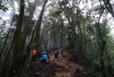 Misteri Hilangnya Pendaki Secara Misterius di Gunung Cikuray, Ini penyebabnya !!!