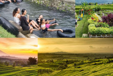 Keindahan Alam dan Tradisi Lokal, Petualangan Wisata di Desa Jatiluwih!