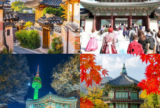Eksplorasi Keindahan Korea Selatan, 5 Destinasi Wisata yang Terkenal dari Drama Korea!