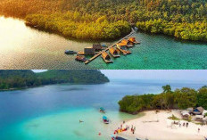 Destinasi Wisata Pulau Pahawang yang Sangat Mengagumkan, Cocok untuk Akhir Pekan!
