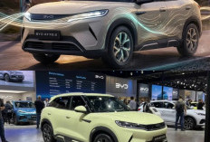 BYD Atto 2, SUV Listrik Futuristik dengan Teknologi Canggih dan Performa Andal, Ini Spesifikasi Lengkapnya!