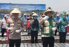 Peluang Baru Meningkatkan Kesejahteraan Petani