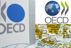 Ekonomi Global Melambat, OECD Pangkas Proyeksi Pertumbuhan Indonesia