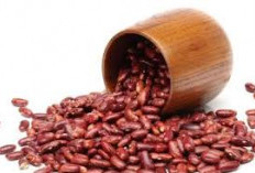 Yuk Cari Tahu, 5 Protein Berkualitas Tinggi Manfaat Kacang Merah Untuk Pertumbuhan dan Perbaikan Tubuh