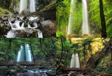 Air Terjun Pringgodani, Destinasi Wisata Alam yang Mempesona!