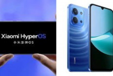 Xiaomi HyperOS Resmi Meluncur Tawarkan Desain Halus dan AI Lebih Pintar Diotahun 2025!