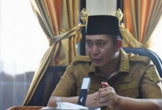 Target PAD Naik Tanpa Bebani APBD