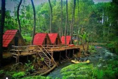 Berpetualang di Kampung Singkur, Wisata yang Menawarkan Ketenangan dan Pesona Alam yang Memikat