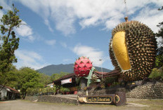 Melihat Wisata Telaga Saat, Menyatu dengan Alam di Puncak Bogor