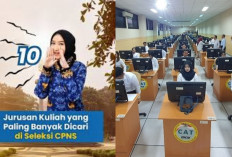 Mau Lolos CPNS 2026? Ini 10 Jurusan Kuliah dengan Peluang Terbesar Diterima di Instansi Pemerintah