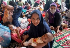 Ini 5 Daftar Negara Etnis Rohingya Terbesar di Dunia