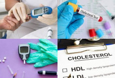Cara Hidup Sehat Untuk Mengatasi Kolesterol Tinggi, Ini 5 Tips Perubahan Gaya Hidup yang Dapat Dilakukan