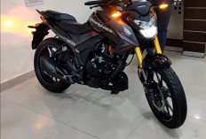 Eksklusif! Pandangan Pada Honda Tiger Reborn Kembali ke Akar Klasik, Ini Penjelasannya!