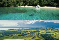 Melangkah ke Surga di Ujung Timur Indonesia, Destinasi Papua yang Menakjubka!