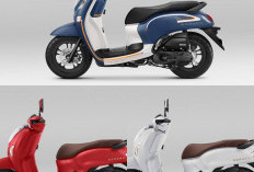 New Honda Scoopy Hadir dengan Warna Baru, Makin Stylish dan Jadi Incaran Anak Muda, Begini Penampakannya!