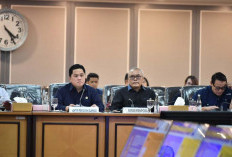 DPR Dukung Naturalisasi Luke Vickery dan Mitchell Baker
