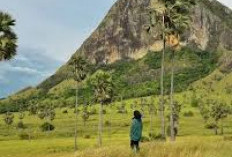 Bikin Mata Terpanah! Ini Pesona Alam Pulau Mules, Wisata Alam yang Memikat di Flores