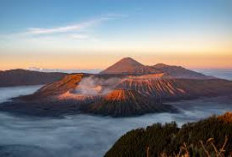 Bikin Terpesona, Begini Keindahan yang Mempesona di Puncak Tertinggi Kedua di NTB Gunung Sanggar!