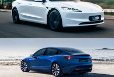 Tesla Model 3 Highland Tiba di Asia Tenggara, Ini Spesifikasi Terbarunya