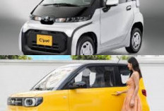 Desainnya yang ringkas membuatnya mudah bermanuver di jalan sempit.