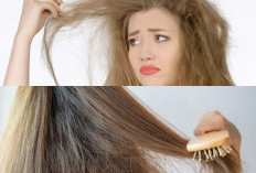 Rambut Mengembang? Ini Dia 5 Tips Memilih Produk Perawatan yang Tepat Untuk Rambut Mengembang