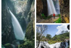 Melarikan Diri ke Blawan, Air Terjun Eksotis di Tengah Hutan Hijau Gunung Ijen