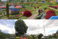 Watu Gambir Park, Wisata Alam dan Budaya yang Mendalam di Karanganyar!