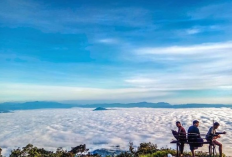 Fakta Menarik Dari Gunung Sago, Pesona Tersembunyi di Sumatera Barat