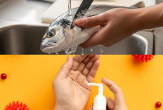 6 Cara Ampuh Hilangkan Bau Amis Ikan di Tangan: Sekali Bilas Langsung Wangi Segar Kembali!