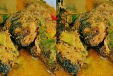 Bikin Ngiler Inilah Ikan Acar Kuning Asam Gurih, Wajib Kalian Cobain?