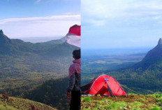 Rekomendasi Liburan Tahun Baru, Bukit Besak Lahat Menawarkan Keindahan Alam Memukau!! 