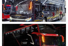 Tak Disangka, Lamborghini Terjun ke Dunia Bus Double Decker Mewah, Spesifikasi dan Performa Bikin Melongo