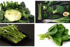 Ini 7 Daftar Sayuran Hijau yang Harus Dikonsumsi untuk Menjaga Kesehatan 