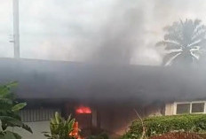 Heboh! Pabrik Teh PTPN VII di Pagar Alam Terbakar Saat Libur Idul Adha