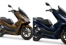 Harga Terbaru Honda PCX Juli 2026 Resmi Update! Varian CBS, ABS hingga RoadSync Naik, Simak Daftar Lengkapnya