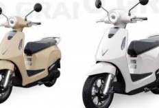 Harga Terbaru VinFast Evo Grand Lite Juni 2026 Resmi Terungkap, Simak Spesifikasi dan Keunggulannya!