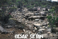 Pasar Setan! 7 Kisah Misteri Gunung Lawu di Jawa Timur