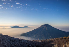 Menaklukkan Gunung Sindoro: Petualangan Seru melalui Jalur Kledung