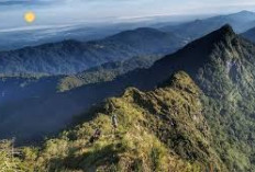 Misteri Malam di Gunung Harun, Suara Aneh dan Aktivitas Alamiah