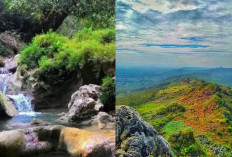 3 Tempat Wisata Blora yang Tidak Boleh Kalian Lewatkan! 