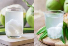 Air Kelapa Muda: Minuman Alami Penyegar Tubuh dengan Segudang Manfaat!