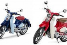 Harga Terbaru Honda C800 2026 Juni 2026 Terungkap! Motor Premium Ditahun 2026!