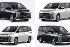 Harga Terbaru Toyota Voxy Mei 2026 Resmi Terungkap, MPV Premium Ini Ternyata Masih Jadi Incaran Ditahun 2026!
