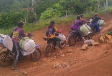 Mudahkan Akses Utama Petani