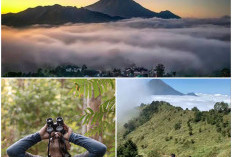 Ternyata Hal Ini yang Bikin Gunung Prau Jadi Ekowisata Berkelanjutan. Apa Saja? 