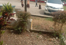  Ajarkan Pentingnya Kebersihan Lingkungan Sejak Dini