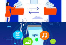 NFC Bukan Cuma Buat Bayar, Ini 5 Fungsi Keren Lainnya!
