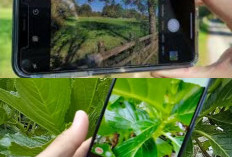 Yuk Lihat Kecanggihan Kamera HP Terbaru yang Bikin Hasil Jepretan Sekelas DSLR di Genggaman Tangan